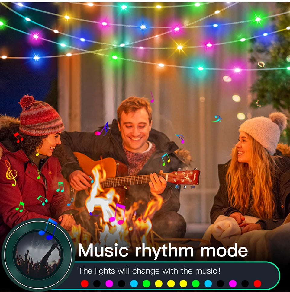 Premium RGBIC Dream Color Smart LED Strip Lights