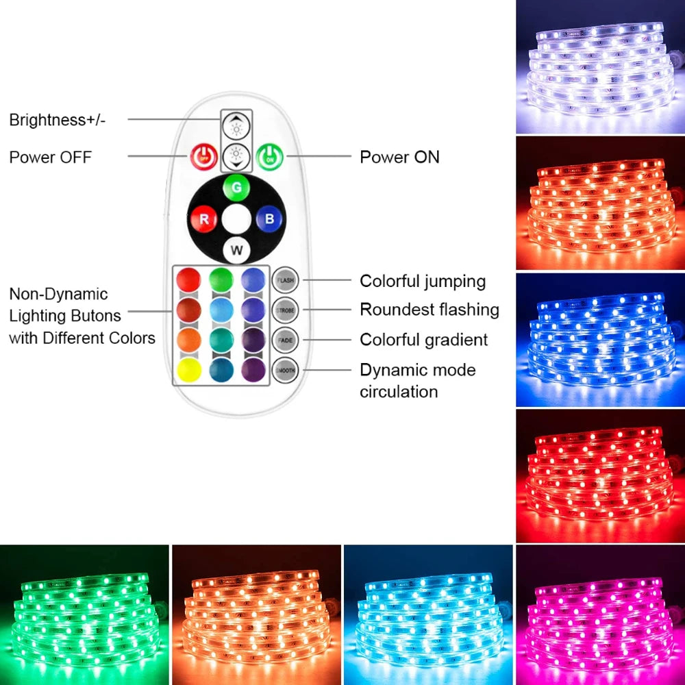 Tira de luces LED RGB premium impermeable con cambio de color
